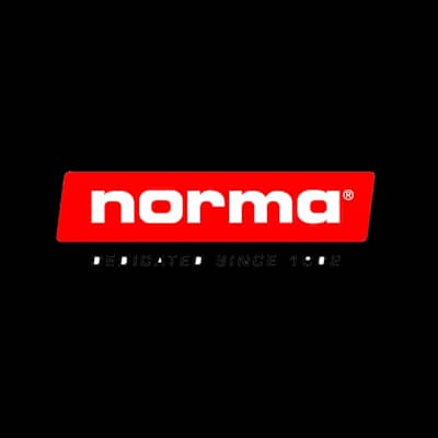 Norma 6.5X55 SP Alaska 156gr