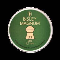 Image of Bisley Magnum .22 (200)