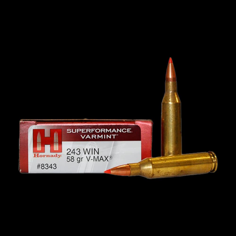 Product Image of Hornady 243 Varmint V Max 58G