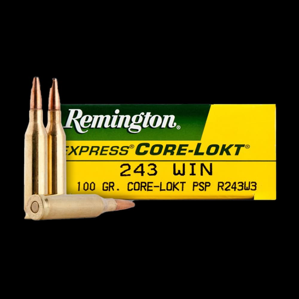 Product Image of Remington 243 Core-Lokt Sp 100G