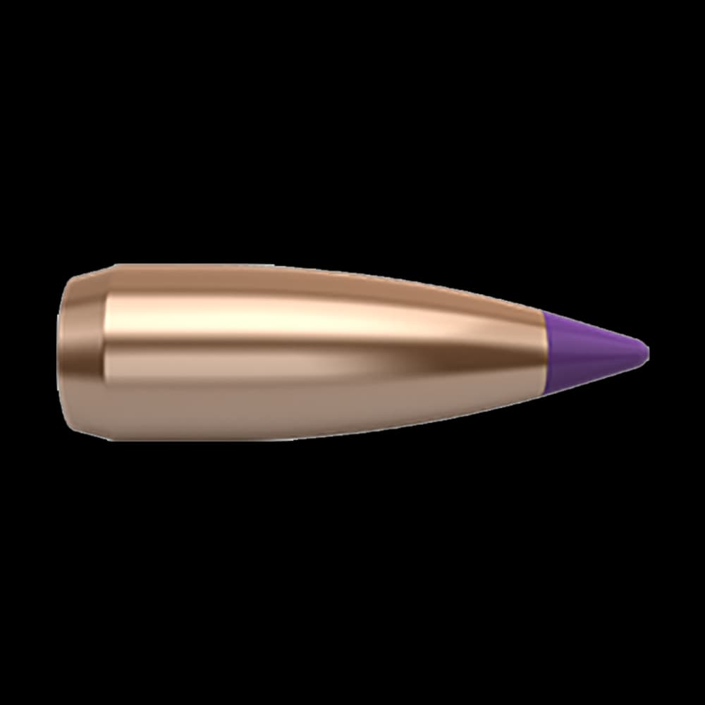 Product Image of Nosler 6 mm/.243" 55gr Spitzer