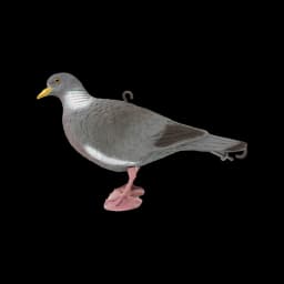 Image of Sport Plast Pigeon Head Up