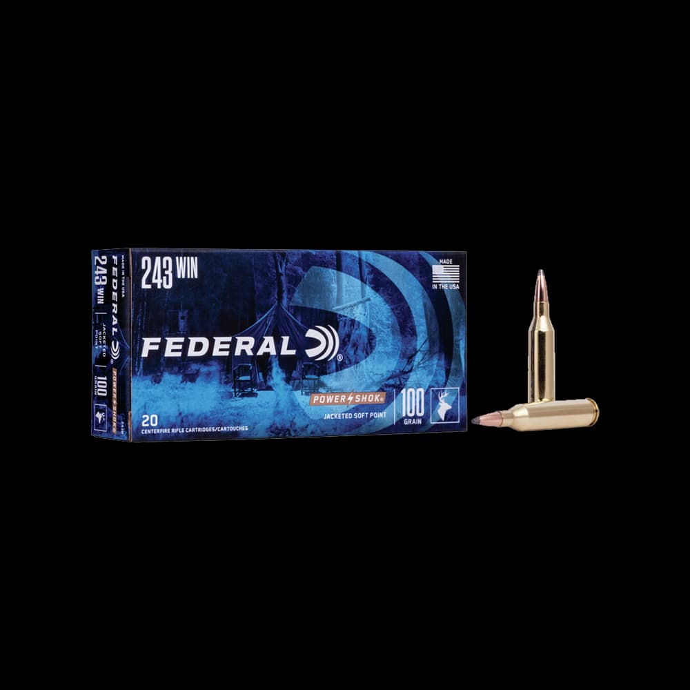 Product Image of Federal Power Shok 243 Sp 100G