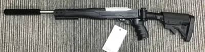 Ruger .22 LR 10/22 Take Down thumbnail 2