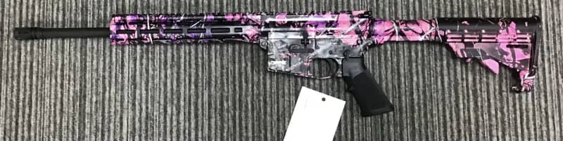 Smith & Wesson .22 LR M&P 15-22