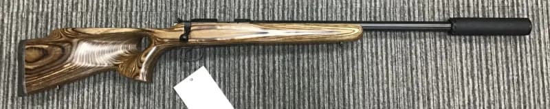 CZ .22 LR 455 Varmint