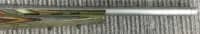 Tikka 6.5X55 Swedish T3 Varmint Stainless thumbnail 2