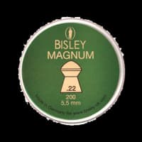 Bisley Magnum .22