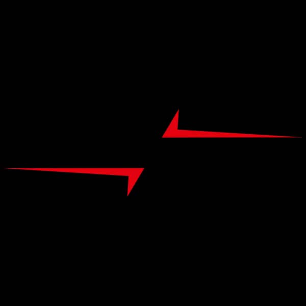 Armsan logo