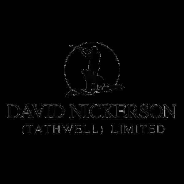 David Nickerson logo