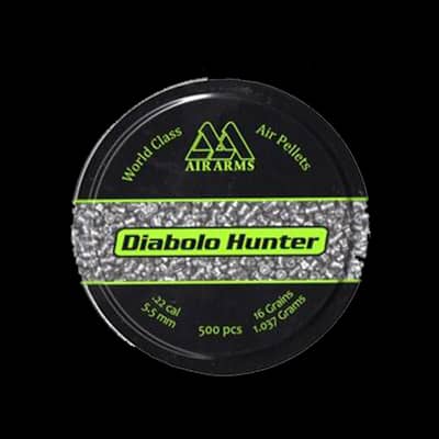 Air Arms Hunter Point .22 (500)