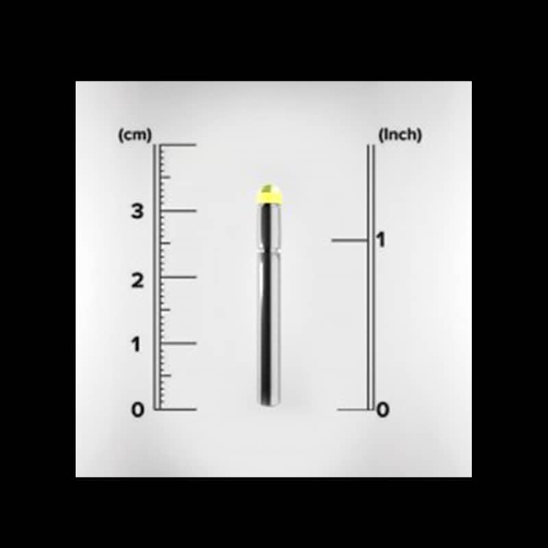 Bore Light (Blackpowder) - Image 1