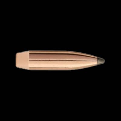 Sierra .243 100G SBT