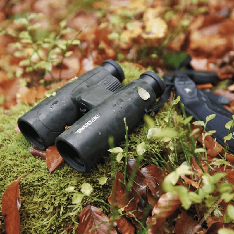 Swarovski SLC 8x56 Binoculars - Image 5