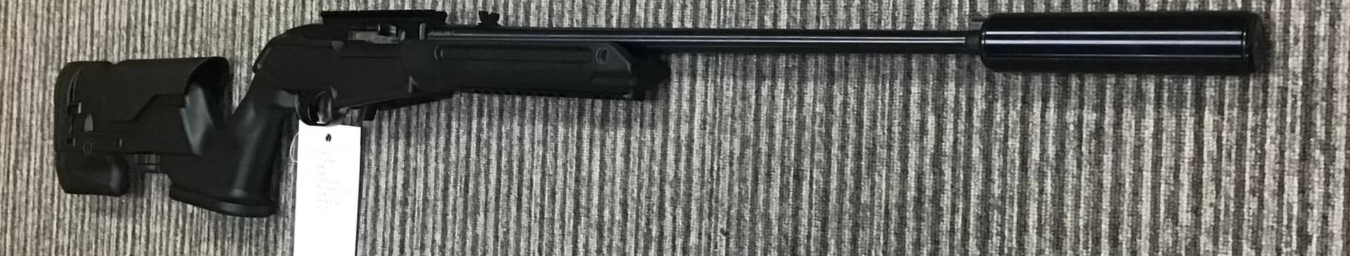 Ruger .22 LR 10/22 Custom - Image 1