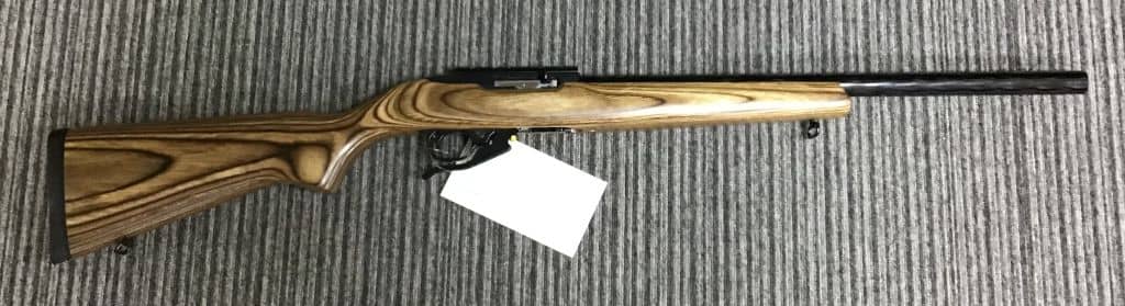 Ruger .22 LR 10/22 Custom - Image 1